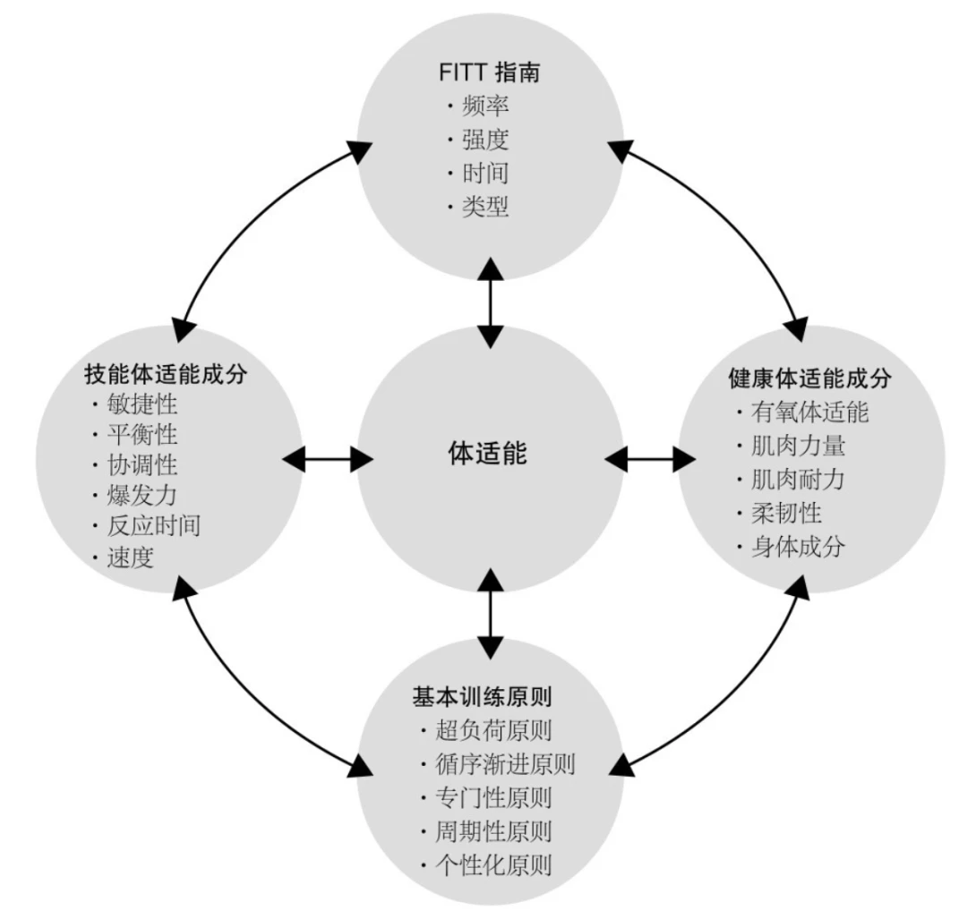 学校篮球队训练受伤谁负责_0